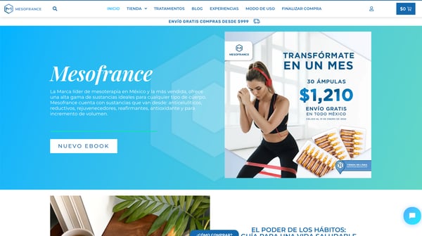 Mesofrance México