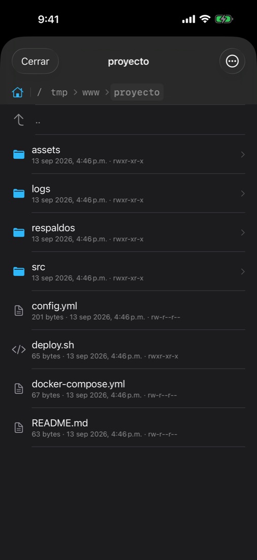 ShellDock: archivos por SFTP en iPhone