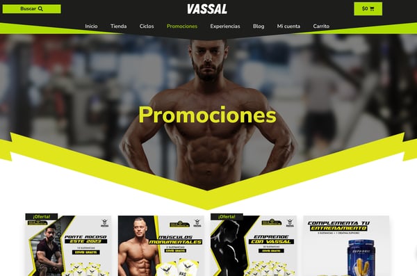 Vassal